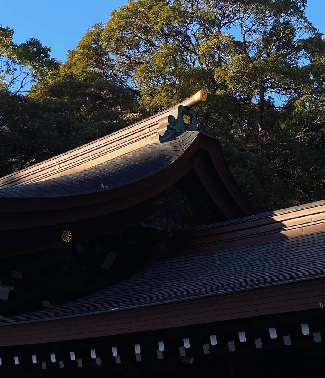 Jessica Garland-Blakeさんのインスタグラム写真 - (Jessica Garland-BlakeInstagram)「City shrine ⛩️」1月20日 22時52分 - jessicagarlandblake