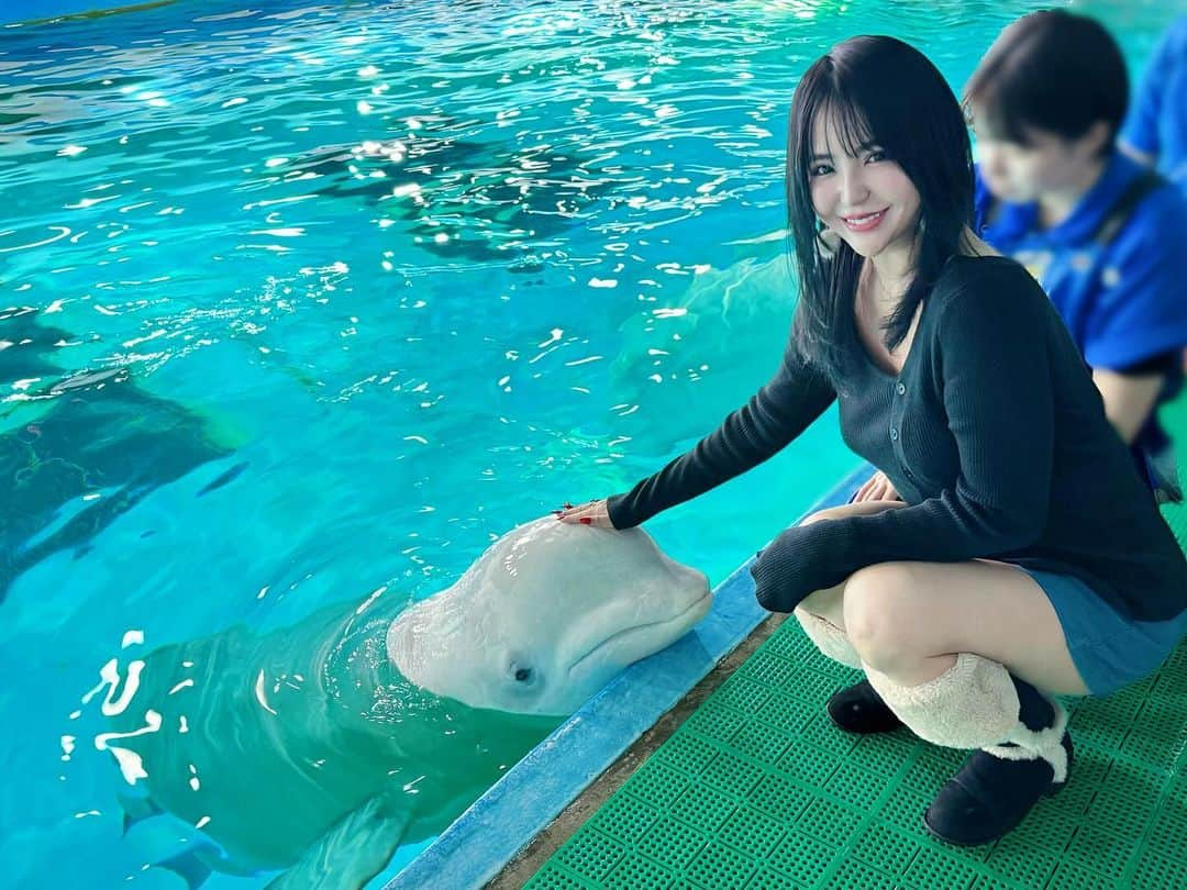 大塚里香のインスタグラム：「癒し🐬 鴨シー  #aquarium #chiba #dolphin #love #鴨シー #癒し #鴨川シーワールド #イルカ #ベルーガ #白イルカ #大好き #水族館 #ふれあい #🐬 #penguin #pingo #ピングー #ペンギン #🐧」