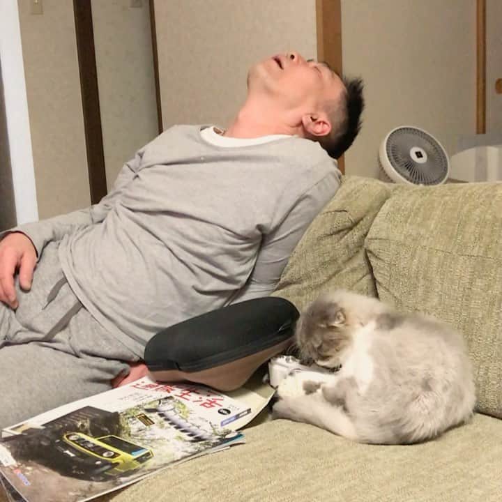 nemuru_catのインスタグラム
