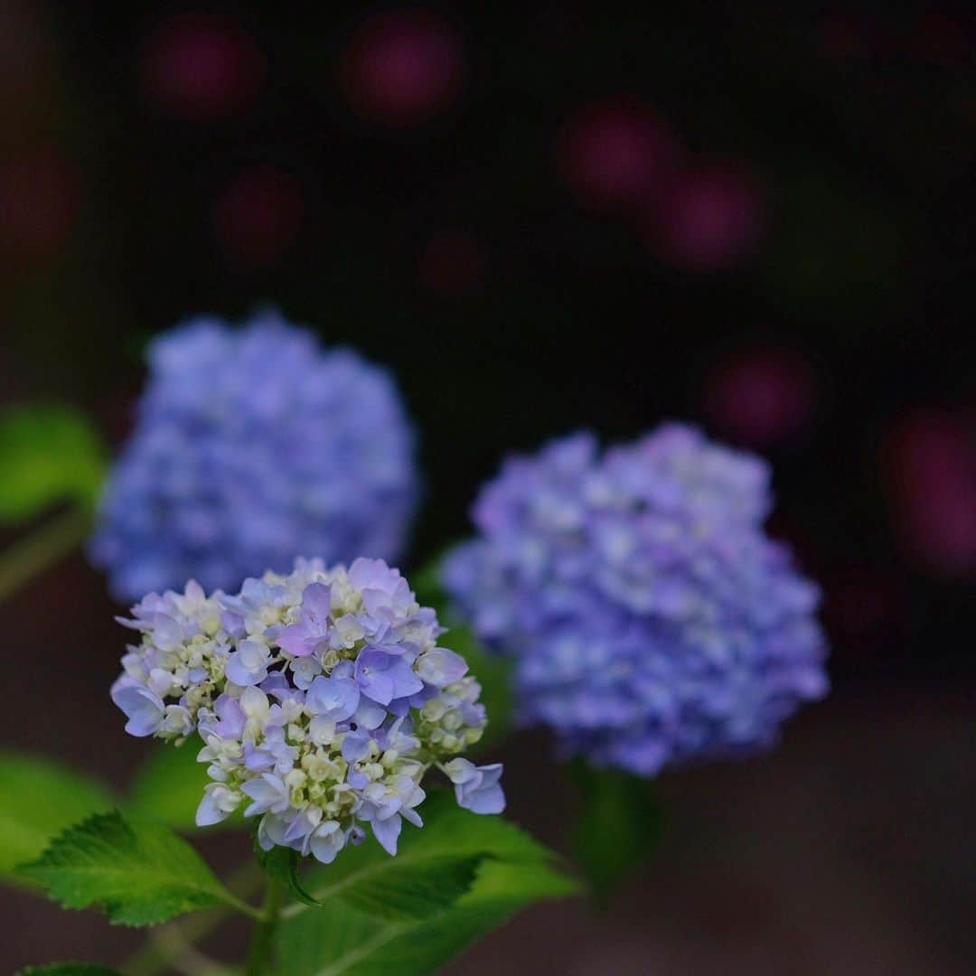 奈良 長谷寺 / nara hasederaのグルメインスタ