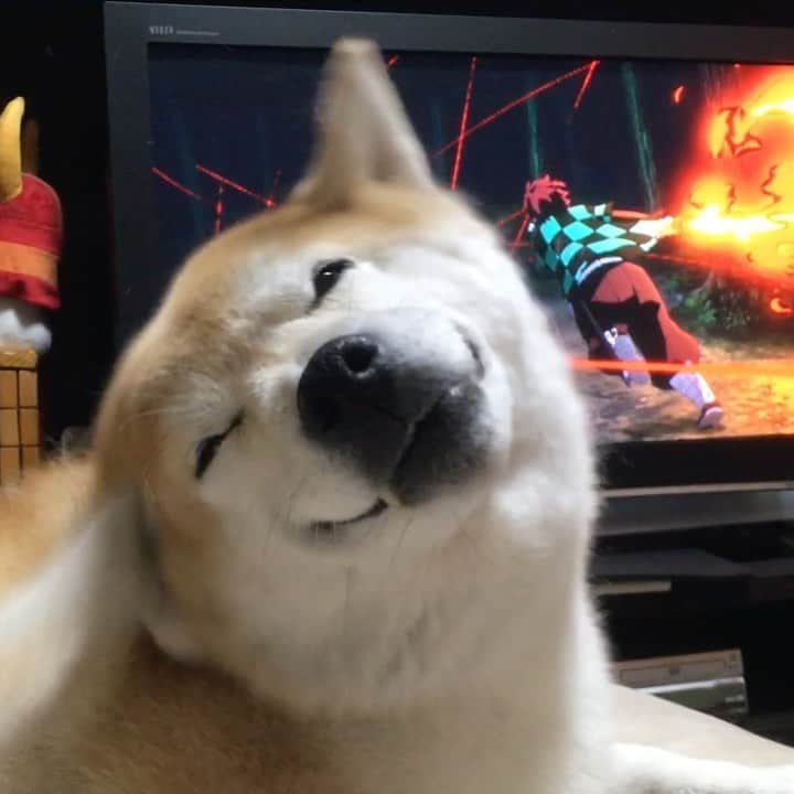 てんパパのインスタグラム