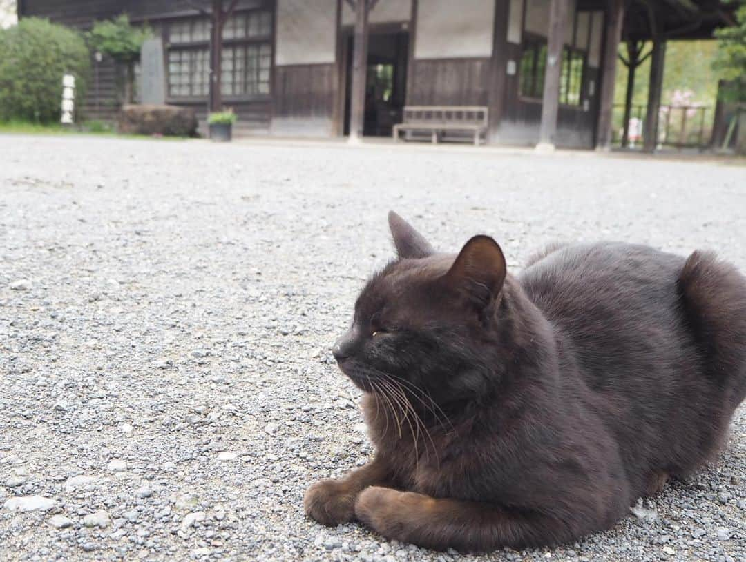 伊藤桃のインスタグラム