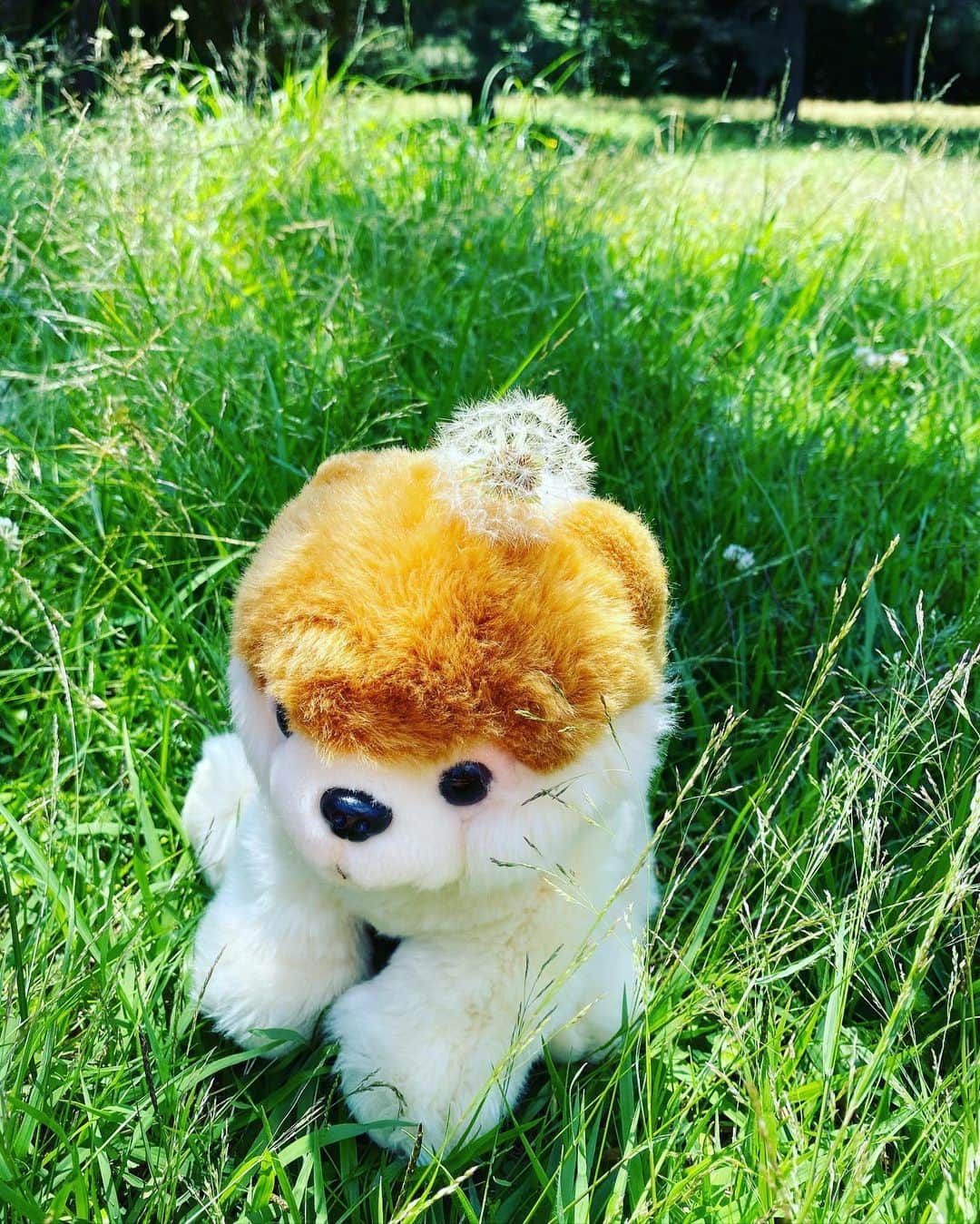 橋本麗香のインスタグラム：「世の中の問題 ． 私は考えていました。 そして 世の中を通して自分自身を見つめました。 ． 自分の中にある”邪“をきちんと見る事。 先ずは自分の心から、思考から 認め。 改善する必要があると。 ． 自分は自分で変えられる ． 平和への近道。。 ．」