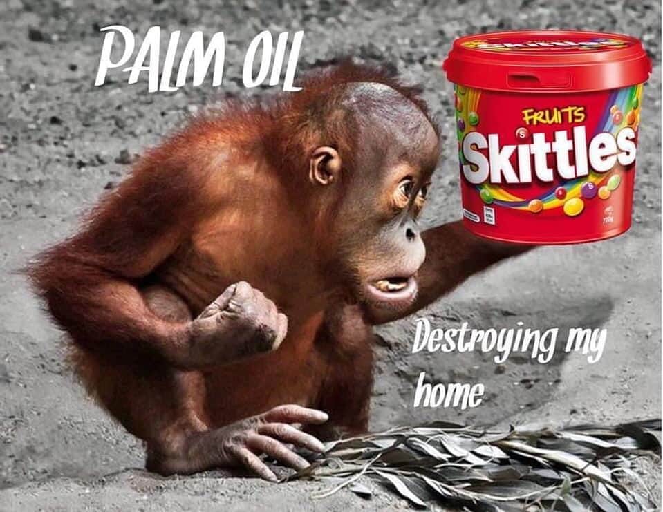 OFI Australiaさんのインスタグラム写真 - (OFI AustraliaInstagram)「The palm oil is listed as vegetable oil in the ingredients list 😢  ____________________________________ 🦧 OFIA Founder: Kobe Steele kobe@ofiaustralia.com | OFIA Patron and Ambassador: @drbirute @orangutanfoundationintl @orangutan.canada www.orangutanfoundation.org.au 🦧 🧡 🦧 #orangutan #orphan #rescue #rehabilitate #release #BornToBeWild #Borneo #Indonesia #CampLeakey #orangutans #savetheorangutans #sayNOtopalmoil #palmoil #deforestation #destruction #rainforest #instagood #photooftheday #environment #nature #instanature #endangeredspecies #criticallyendangered #wildlife #orangutanfoundationintl #ofi #drbirute #ofiaustralia #FosterAnOrangutanToday」6月3日 19時24分 - ofi_australia
