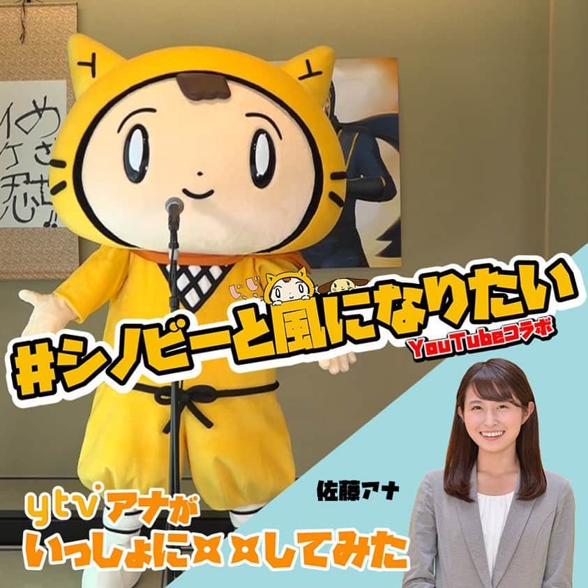 読売テレビアナウンス部のインスタグラム：「【新】シノビーと○○してみた！ 現在シノビーのYouTubeチャンネルで 募集している#シノビーと風になりたい！  アナウンス部員もそれぞれの得意分野でコラボ まずは#佐藤佳奈 アナウンサー！  さかなといえば？そう！ダンス💃！ シノビーとも息ぴったりです✨. . ぜひ！みなさんもコラボしてみてください💪！ 動画はシノビーのHPからダウンロードできます 募集期間は6月11日(木)まで🥺！ . #ytv #読売テレビ #アナウンサー #関西 #大阪 #兵庫 #京都 #奈良 #滋賀 #和歌山 #stayhome #うちで過ごそう #おうち時間 #シノビー #ニン丸 #コラボ #イケメン #忍者 #シノビーと絵にっき #シノビーとおさんぽ #character #kawaii #japan #ninja #すまたん #ケンミンショー」