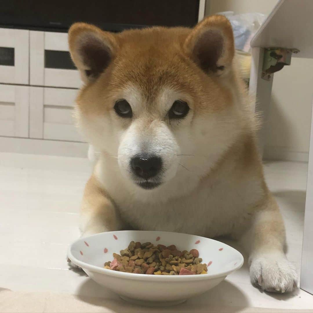 いなりのインスタグラム