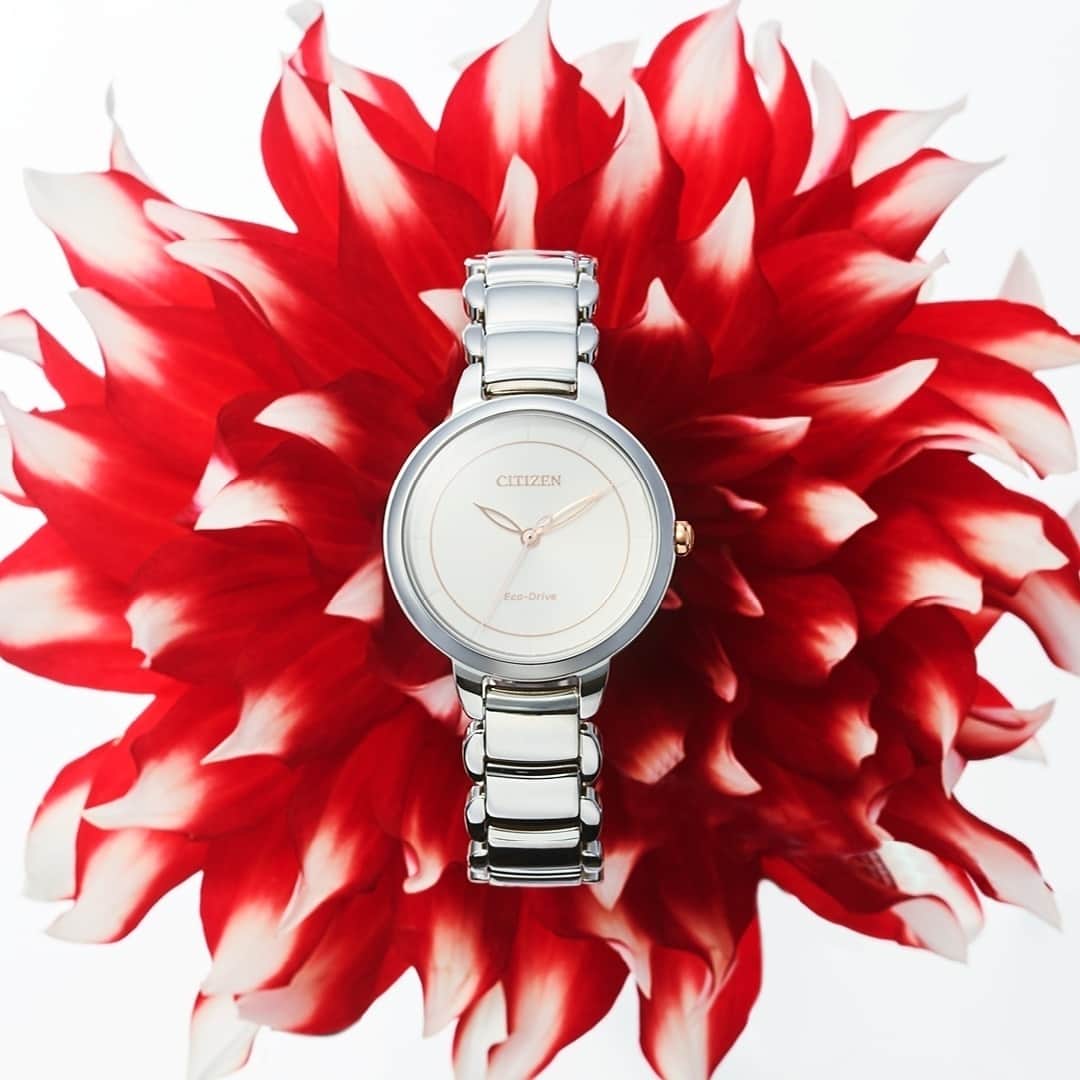 citizenlwatchのインスタグラム
