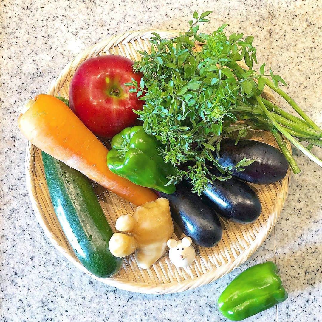 榊山敬代のインスタグラム：「🥒 🥕🍆🍎🌿… ・ 昨日は週に一度の 食材買い出しの巻  今回はクレソンさんが いつもと違うかんじに  めずらしいカタチだな と連れてかえりました  クレソンさんは根っこチョキと 切りましてから水で清めてから  水を張ったボウルへ ひたしておきますと  ピピーンと元気になる表情は いつも癒されるひとコマにて  生きてるんだよなぁと 恵をいただいてる事へ ありがたくかんじる時  さて今日は月に一度の換気扇の お掃除をしようと思いましたら  いつもより汚れていて おうちごはんばかりの 気配をかんじました時  しばらくはおうちごはん継続予定なので 今後はこまめに換気扇のお掃除決定の巻  次いでにそろそろクーラーの季節だなと あらためてフィルターやエアコン磨きを 拭き拭き清めて今早速クーラーで快適也  ところで今日は朝から不思議つづきで ちょうど一年前の今の季節にヒントが ありまして不思議すぎる事件発生の巻  最近かんじますことはアイデアは自分の様で 誰かのチカラのお陰で観せられてそういう風 にアイデアをカタチにしたいとおもうこの頃  あしたはもう少し具体的に するべく作業に集中したい ・ ・ #おうち時間 たのしもう週間 #おうち大好き #stayhome ・ ・ ネズミちゃん生姜さんに似てる🐹… ・ ・ #クレソン #cresson #ピーマン #ズッキーニ #zucchini #野菜 #vegetable #なす #eggplan #にんじん #carrot  #りんご #Apple #生姜 #Ginger #beautiful #おうちごはん #おうち時間 #栄養補給#artist #kitchen #cooking #日本画家 の #お料理こんなもん」