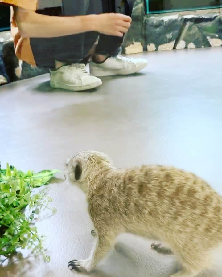 【公式】福岡ECO動物海洋専門学校のインスタグラム