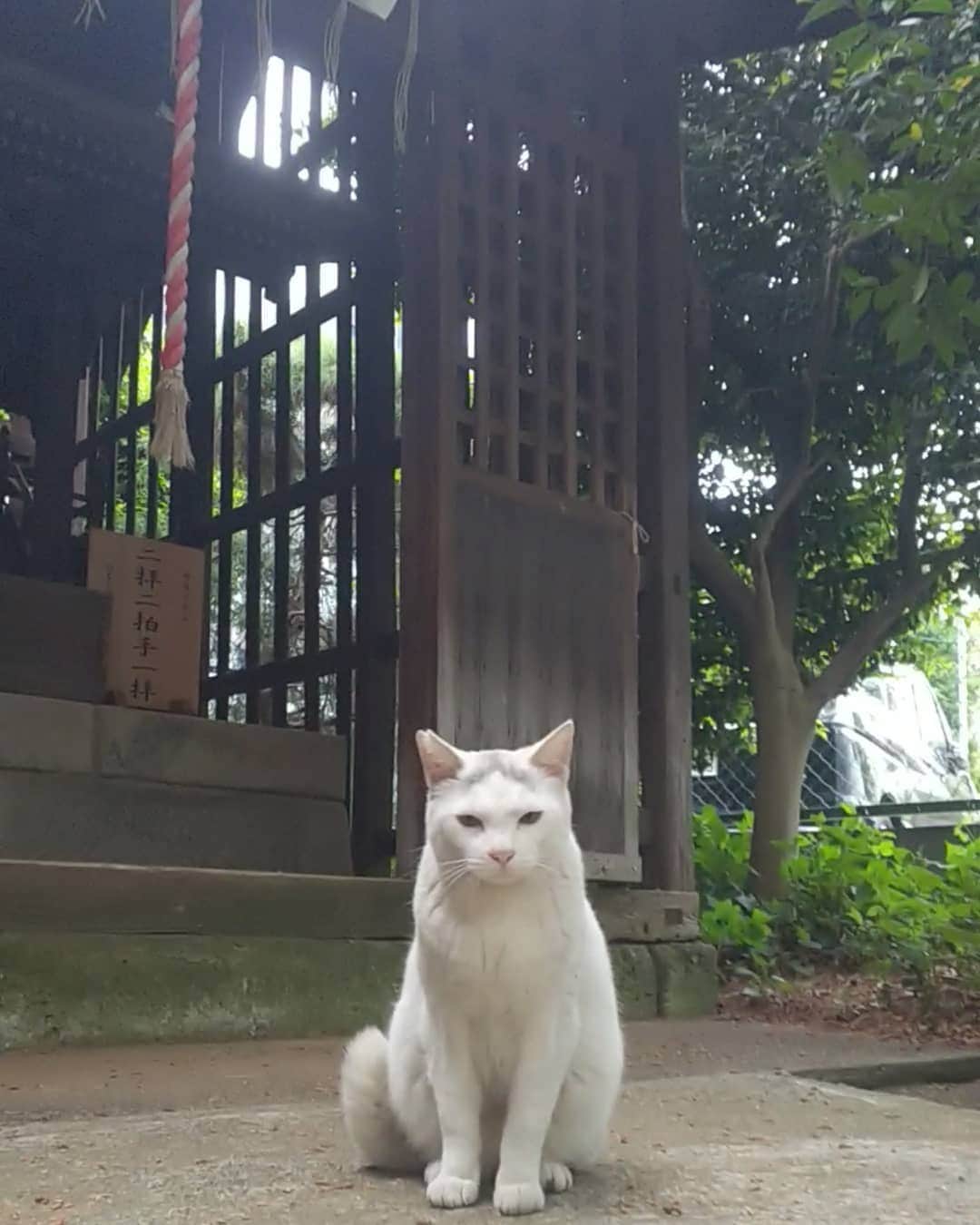 三宅裕子のインスタグラム