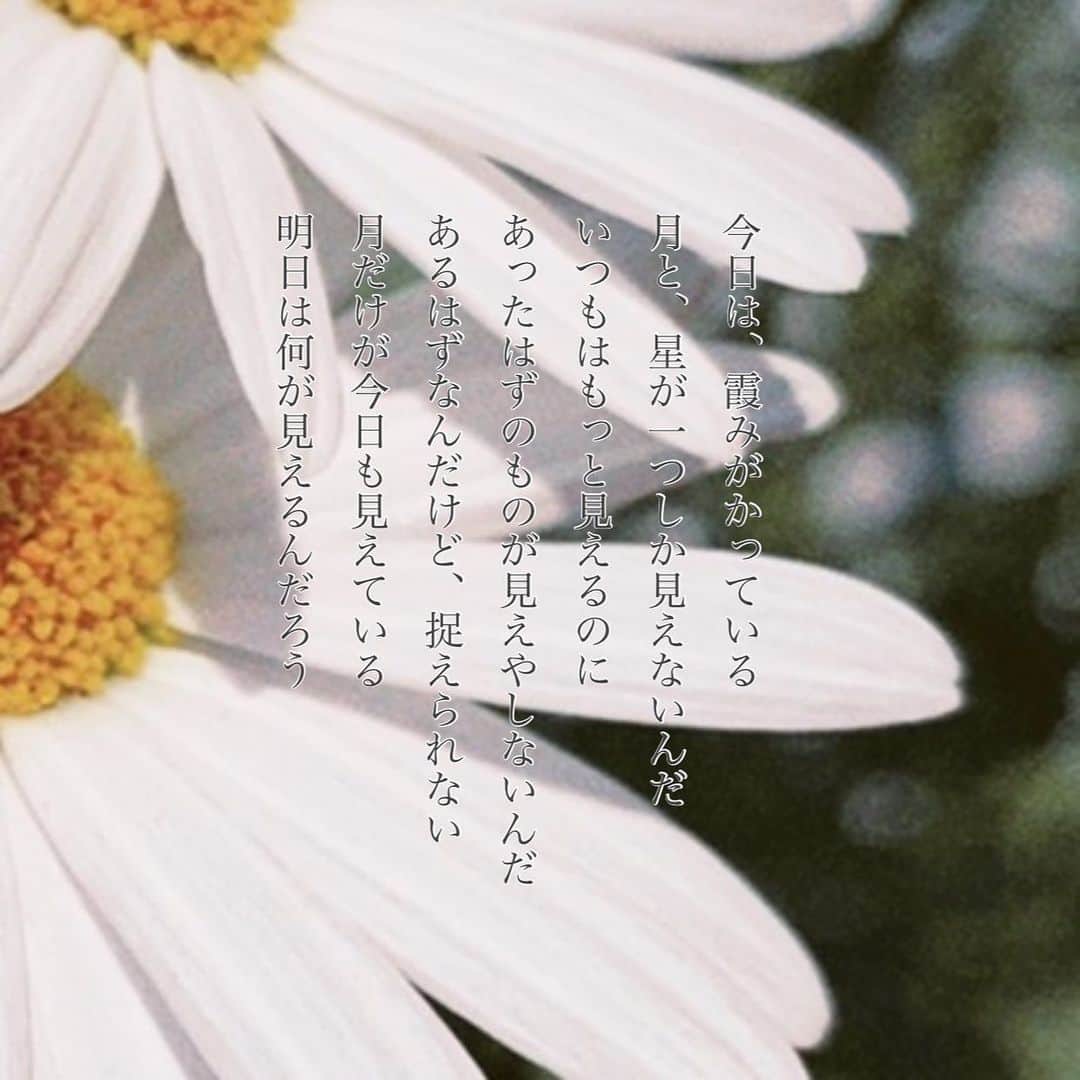 荒澤守さんのインスタグラム写真 - (荒澤守Instagram)6月3日 20時58分 - mamoru_arasawa