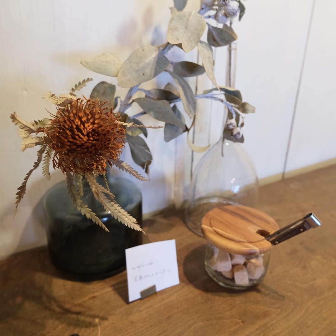 育てる革小物 ma-sa/マーサのグルメインスタ