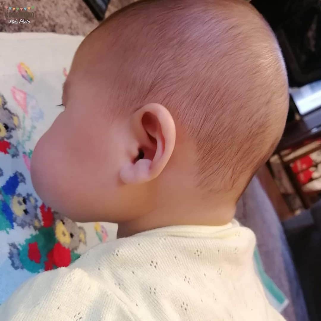 コドモノ 写真部さんのインスタグラム写真 コドモノ 写真部instagram 今回ご紹介するのは Saorippa さんの投稿です フォルムがクレヨンしんちゃんと完全に一致 このほっぺ実在するのですね Saorippa さん コドモノ のハッシュタグ付け