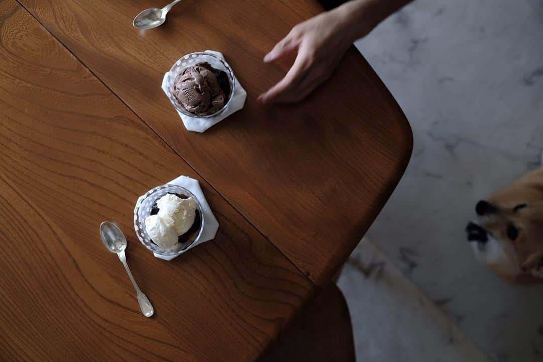 maggydaisyのインスタグラム：「_  いつかのコーヒーゼリー  乗せるアイスクリームはバニラ派とチョコ派 私は断然バニラ  今日もお疲れさま  #コーヒーゼリー #coffeejelly #onthetable  #corgi #コーギー #犬のいる暮らし #里親」