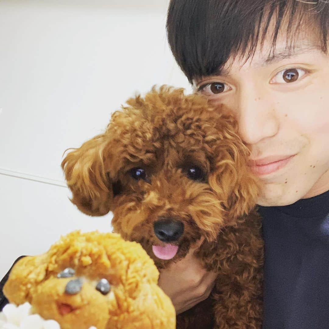齊藤大将のインスタグラム
