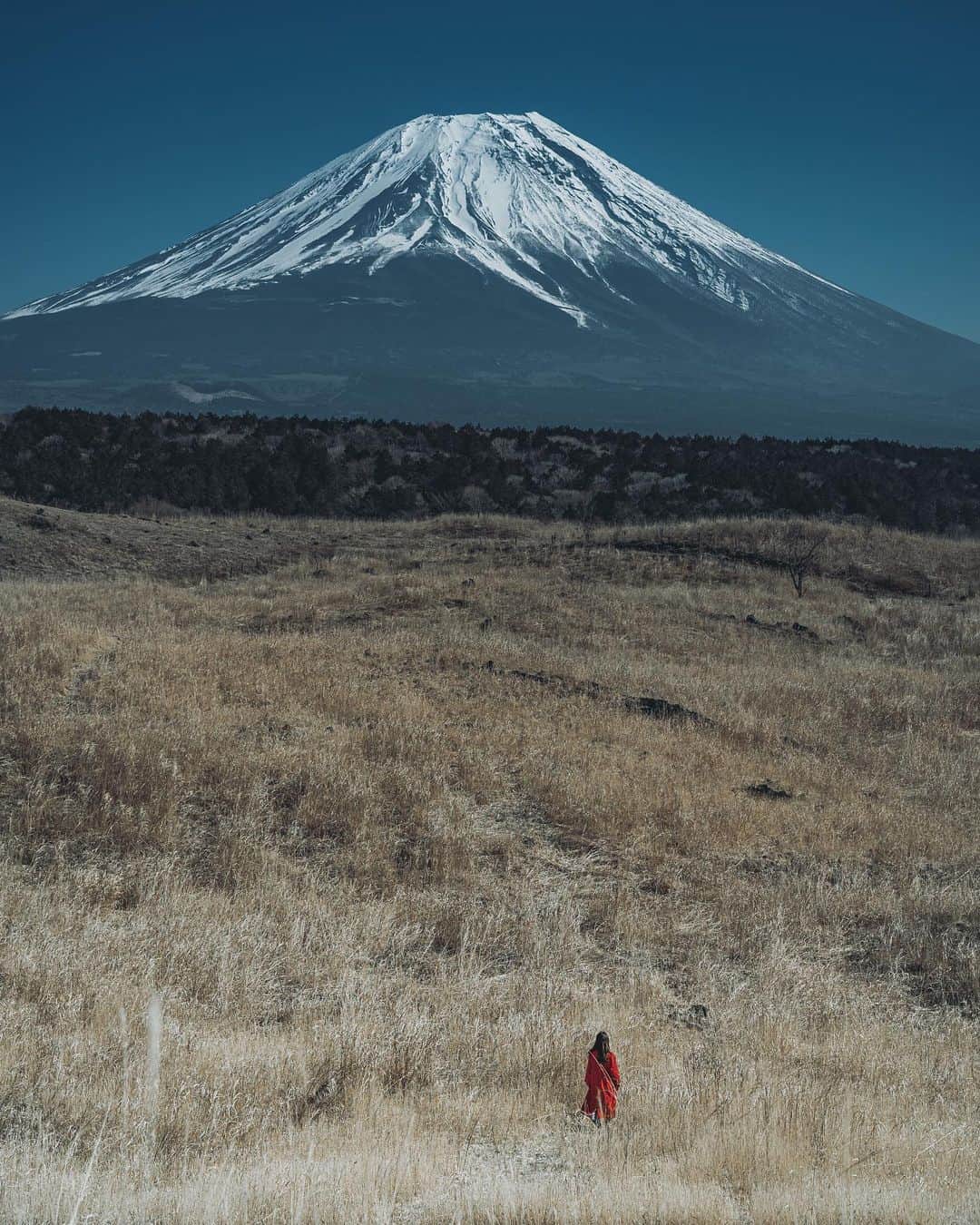 wacameraのインスタグラム：「This is not drone, by sony α7III + 24-105mm F4. まるでドローンで撮ったように見えるけど、ボディは相変わらずα7IIIと、最近このレンズの魅力に気がついてしまった24-105mm F4の組み合わせ。 コロナで自宅待機中、レンズの話、ボデーの話、と、いくつか寄稿しました。忖度なく私が使ってみての感想を素直にしゃべくり倒してますので、また発表されたら是非見てください(*ˊᵕˋ*)♥️」