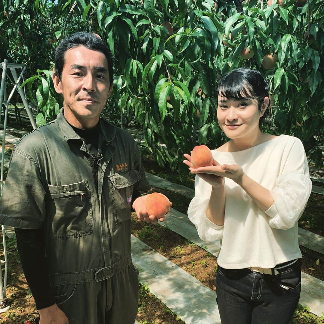 佐藤綾子さんのインスタグラム写真 - (佐藤綾子Instagram)「⛰共に生きる🍑﻿ ﻿ 1991年6月3日 午後4時8分﻿ 43人の死者・行方不明者を出した雲仙普賢岳の大火砕流が起きました。﻿ ﻿ 辺り一面が真っ暗になって﻿ 人も家も奪い去っていきました。﻿ ﻿ 島原半島に生まれ育った私にとっても﻿ 決して歴史上の出来事ではなく、﻿ 自然災害の恐ろしさ、﻿ 危機管理のあり方について﻿ 毎年向き合わなければなりません。﻿ ﻿ 復興を遂げた島原の人達は﻿ いつかまた火山活動を再開する山から逃げるのではなく﻿ その肥沃な大地と共に生きることを選んでいます。﻿ ﻿ 今年は、火砕流に家も家財も仕事も奪われ﻿ それでも先祖代々の土地で農業を続けている﻿ 桃園を取材しました。﻿ 旬の桃はとっても甘くてみずみずしくて﻿ 生命力を感じました。﻿ ﻿ 「29年経ち、災害を知らない世代もいる。﻿ モモを手に取った人が、﻿ 島原産、南島原産という表示を見て﻿ 少しでも災害について考えて﻿ 味わってもらえたらうれしい」﻿ と福島さんはおっしゃっていました。﻿ ﻿ 多くの被害と恵みをもたらす火山と共生する。﻿ 災害を風化させることなく、教訓を胸に﻿ なぜ多くの犠牲が出たのか、﻿ 報道のあり方を考え、﻿ 心に刻んでいかなければなりません。﻿ ﻿ ﻿ #スーパーJチャンネル長崎 #Jチャン長崎﻿ #雲仙普賢岳 #普賢岳 #大火砕流 #6月3日 #いのりの日 #島原﻿ #桃 #もも #南島原 #ふくはちファーム﻿ #ncc #長崎文化放送 #アナウンサー #取材日記」6月3日 22時31分 - satoaya_ncc