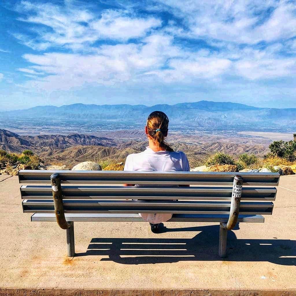 フェムケ・ヘームスケルクのインスタグラム：「The top at Joshua Tree 😍💙 . . . #reflections #JoshuaTree #California 📸 : @syungfleisch」