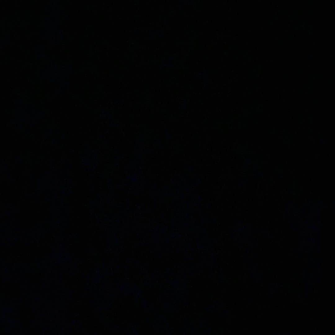 SUGAYA MASAKI / SHIMAのインスタグラム