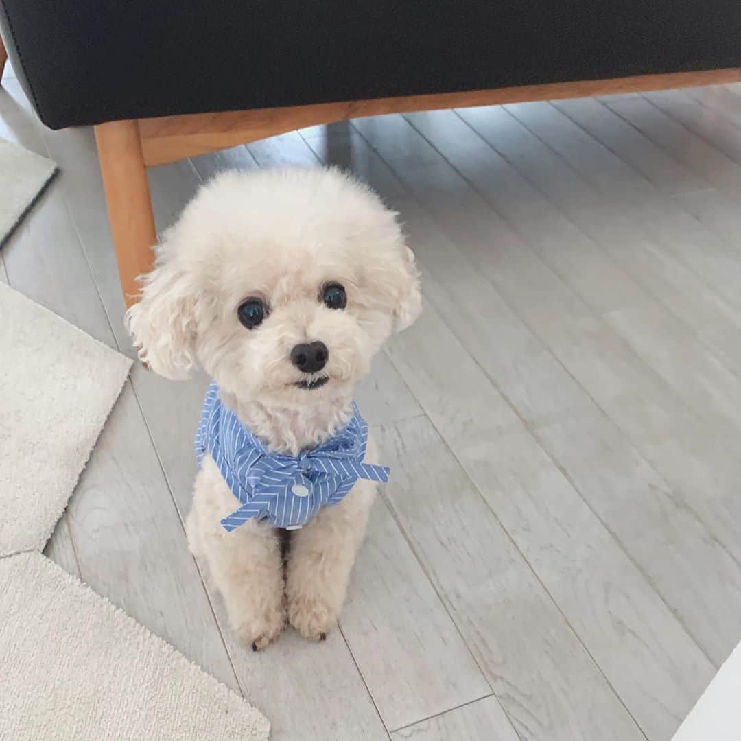 mizuのインスタグラム：「୨୧  今回は本当にたくさんの方にご覧いただきましてありがとうございました。  リボンのブラウスももう何年にもなるので、今年はやめようと思ってましたが、お問い合わせをいただくことが多々あったのをきっかけに、今年も販売させていただきました。 それでも本当にお買い求めいただけるのかとドキドキしましたが、 ご購入くださった方、本当にありがとうございます。 ご希望に添えなかった方には申し訳ございませんでした。 今シーズンは再販売はないですが、いつかまた機会がありましたらよろしくお願いいたします。」