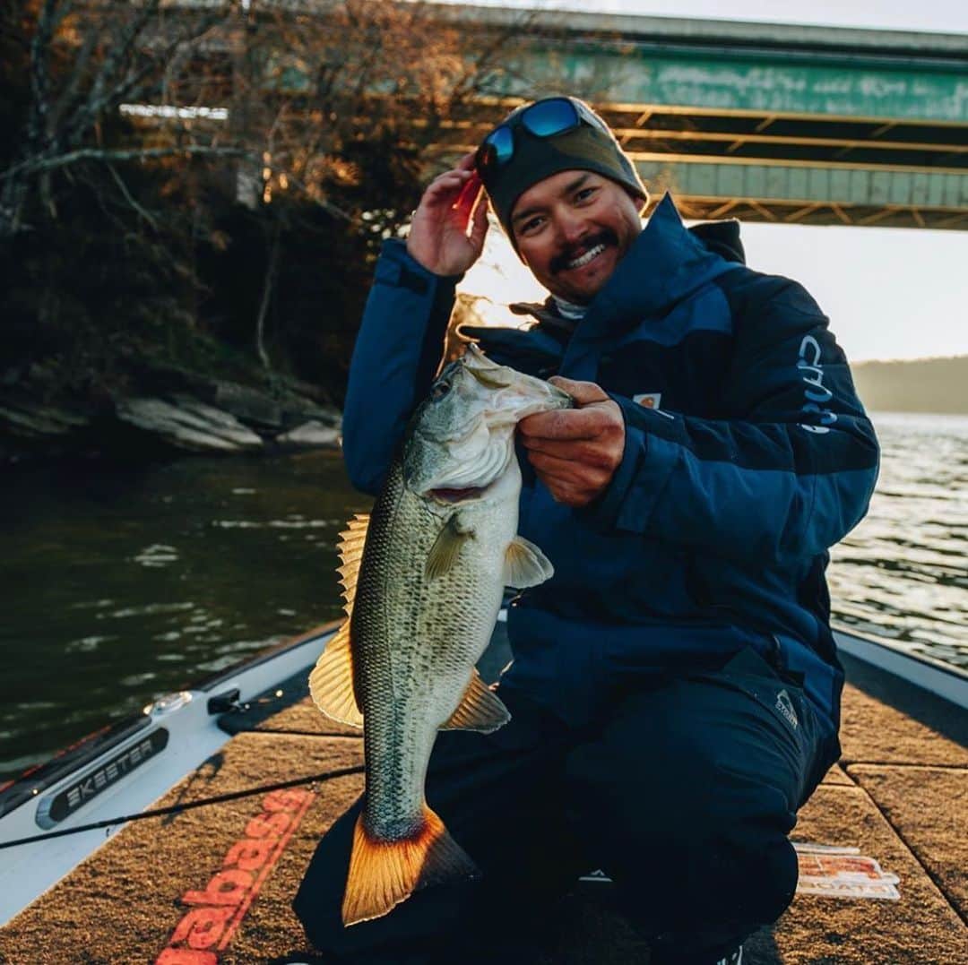 Electric_Fishingさんのインスタグラム写真 - (Electric_FishingInstagram)「@chriszaldain with a good one caught early morning.  The lowlight polarized pro lens in the Mahi is a must for those early mornings and lowlight situations.⁣ ⁣ #ElectricSunglasses⁣ #PolarizedSunglasses⁣ #StyleThatPerforms⁣ #ElectricFishing」6月4日 0時07分 - electric_fishing