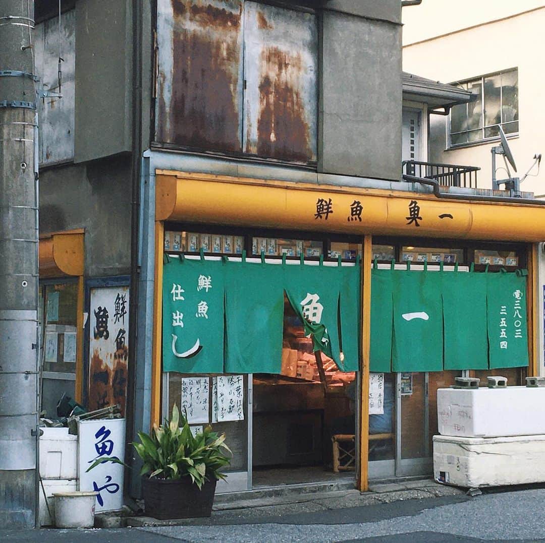 吉良穂乃香のインスタグラム：「東京に戻ってます🐟(9月末までいるよ) 下町感のある近所の魚屋さん ・  #下町#そろそろ居酒屋に行きたい#家では飲んでる#なんなら今日就活の面接終わってすぐ呑んだ」