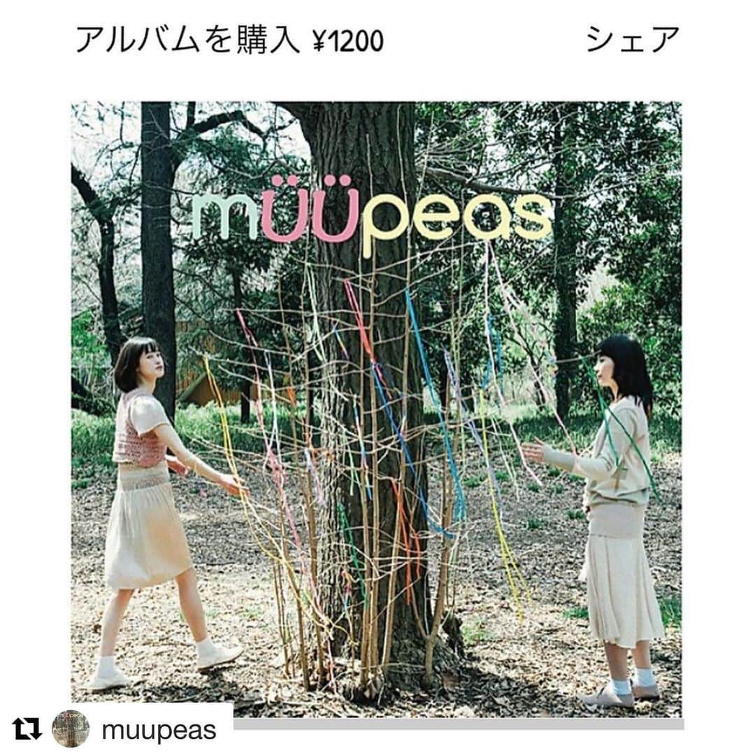 宮本りえのインスタグラム：「ようやくですがmuupeasのダウンロード配信を始めてます。  HPのトップページとmusicのページより購入可能です🎹 30秒ですが、試聴もしていただけます🎧  そして既に聴いてるよ！と知らせてくださった皆様、本当にありがとうございます🙇‍♀️💕 どうぞ宜しくお願いします❗️ #Repost @muupeas with @get_repost ・・・ MAY 20 ﻿2020 muupeas 1st MINI ALBUM ONLINE RELEASE 先行発売などはしていた muupeas 初めての1stアルバムですが、諸事情により、レコ発ライブなどの機会を見計らっているうちに、はや何年？？？ いい加減、皆様にもちゃんと聴いていただかなくては！ という事で、オフィシャルウェブサイトにてダウンロード販売をはじめました。 ぜひ、あなたのミュージックリストの仲間にmuupeasも入れてください！ ​よろしくお願いいたします！ SUPPORT：tatsu（from レピッシュ）栗原務（from little creatures) ※敬称略  https://muupeas.wixsite.com/muupeas  #muupeas #girlsband #band #music #musicrelease #music #musicdownload #girlsunit #ムーピーズ #宮本りえ #fuki」