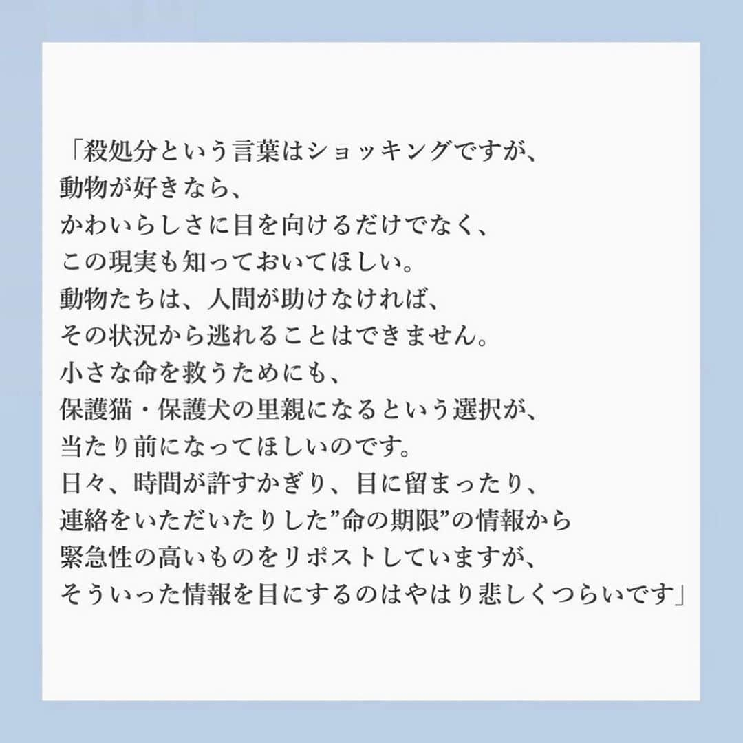 松島花さんのインスタグラム写真 - (松島花Instagram)「: 発売から随分と遅くなりましたが💦 「with 6月号」で動物愛護活動に ついてお話させて頂きました🐾 内容は「社会貢献」となっていますが、 正直、私としては社会貢献などと気負って やっているわけではありません。 . インタビューでお話しさせて頂きましたが、 元々、母が地域猫のお世話や避妊手術などの ボランティアをやっていた影響で小さい頃から 殺処分がある現実や保護猫、保護犬の存在を 知っていました。 8歳の頃から20年飼っていた愛猫の梅ちゃんの死で ペットロスに陥っていたところ、インスタグラムなどで 沢山の殺処分間近な保護猫、保護犬をみて、改めて 動物たちの為に自分でできることをやらなきゃ！　 殺処分をなくしたい！この子たちを助けたい！と　 強く思ったことをきっかけに 2018年4月18日に動物専用インスタアカウント 　@hana_matsushima_animal を開設しました🐾 . ただ、この活動は生半可な気持ちではやれない。 出来ないからと直ぐにやめるわけにはいけないと 悩みました。やるからには、少しでも、1匹でも 多くの命を繋ぎたいとの思いですが、全国の ボランティアの方々に日々助けられ頑張っています🐕♡🐈 . #花アニマル #命の期限  #殺処分反対 #里親になる選択を . @with_magazine.jp #Regram #Repost via @PackeDApp #PackeDApp  世界は「誰かのため」の連鎖でまわってる！ こんな時代だからこそ初めての社会貢献、 してみませんか？🌏✨ 環境のこと、地域のこと、災害のことetc... 問題が山積みの今、 ”何かしなくては”の思いが芽生え始めた一方で、 ”何をしたらいいのか”と迷うあなたのために、 無理なく始められる「社会貢献」、探してみました☺️💗今回は、松島花さんにお話を伺いました🐕🐩🦮🐕‍🦺」5月30日 22時58分 - hana_matsushima_official