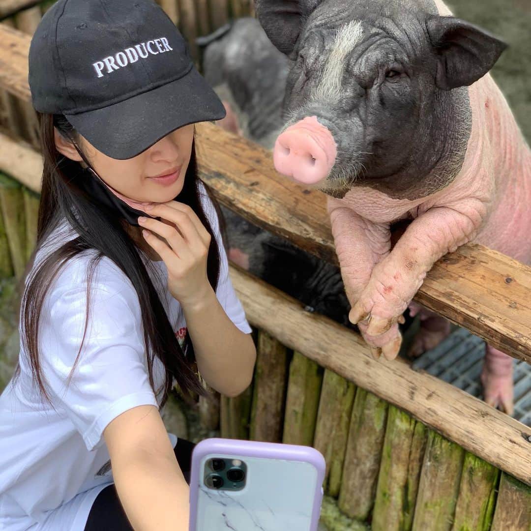 リン・イーチェン（Ariel Lin/アリエル・リン）さんのインスタグラム写真 - (リン・イーチェン（Ariel Lin/アリエル・リン）Instagram)「今天跟這些🐷老大/小弟們廝混⋯⋯🐖🐖🐖🐖🐖🐖🐖🐖🐖」5月30日 23時07分 - linyichen.ariellin