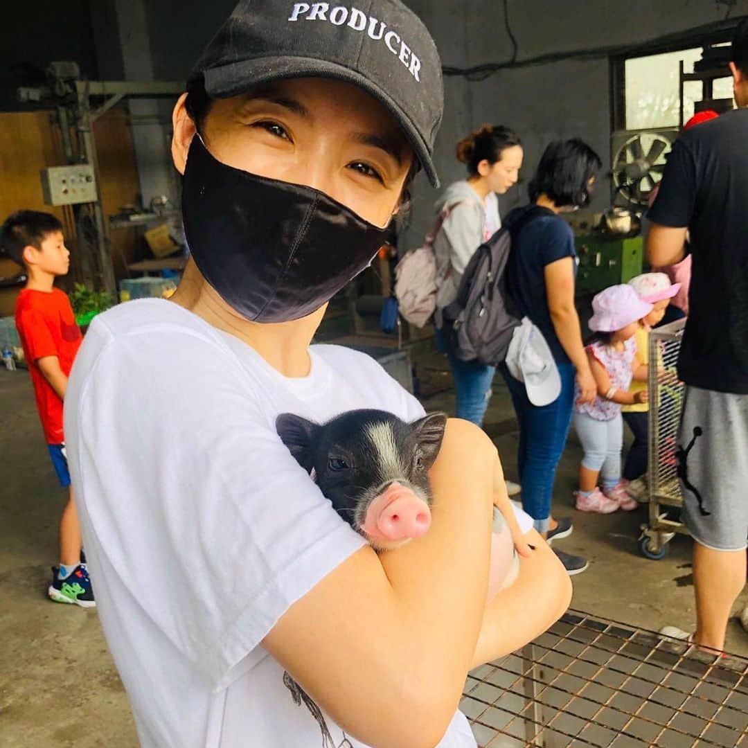 リン・イーチェン（Ariel Lin/アリエル・リン）さんのインスタグラム写真 - (リン・イーチェン（Ariel Lin/アリエル・リン）Instagram)「今天跟這些🐷老大/小弟們廝混⋯⋯🐖🐖🐖🐖🐖🐖🐖🐖🐖」5月30日 23時07分 - linyichen.ariellin