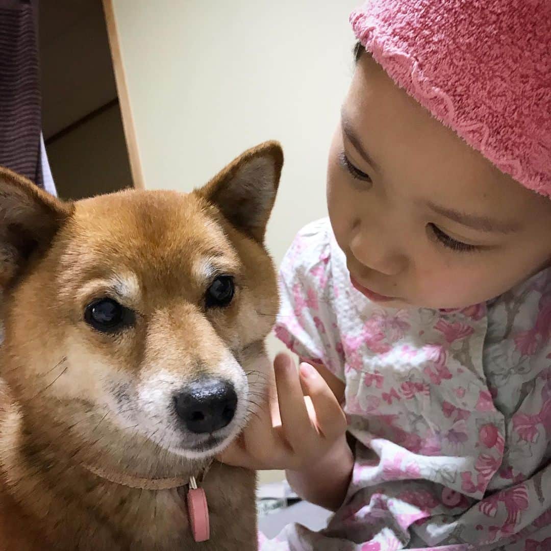 柴犬はなこ Shibainu Hanakoさんのインスタグラム写真 - (柴犬はなこ Shibainu HanakoInstagram)「Be the best friends😆 はなっぺの顔よな #shiba #dog #shibainu #kid #犬　#柴犬　#犬とこども　#耐える　#私はおねいちゃん」5月30日 23時07分 - kiki_beee