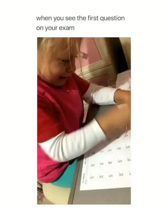 Funny Postsのインスタグラム：「••••••••••• 😂 I absolutely hate exams 💬 Video by: Unknown 🎥 Double tap for more videos!」