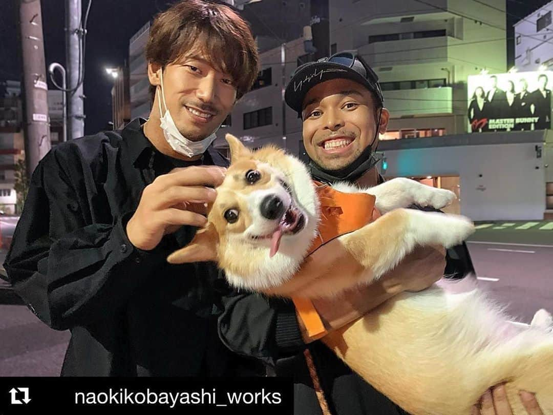 NESMITHさんのインスタグラム写真 - (NESMITHInstagram)「ライルさんが最近の暑さで日中散歩イヤイヤ期なのもあり、日も落ち涼しくなった夜に散歩をしていたら、 やたら背の高いヨウジヤマモトのオーバーサイズシャツを着ている男の人がいて「お洒落さんやな〜✨」と思った直後NAOKIからの電話☎️ 何気なく出たら目の前のヨウジヤマモトがガバッと振り返ったら、、、 NAOKIだった(笑)と言う偶然(笑) ・ なんかしらの縁、引き寄せを感じました(笑)  #Repost @naokikobayashi_works ・・・ 【数時間前に起きた奇跡の遭遇】 今日は過ごしやすい気温だな〜と思って外を歩いていて、暫くすると、 目の前に、#犬 の散歩をする男性が🚶‍♂️🐕 通り過ぎた後に、なんとなくネッさんに似てたなぁと思い、電話してみると、すぐに繋がり、#ネッさん が笑顔でサンダルをパタパタさせながら こちらに歩いてきました。  こんなことってある⁉️Σ（ﾟдﾟlll）#凄い#怖い#🤣 Coincidentally! I didn’t expect to see you @exile_nesmith_official  #EXILE#三代目JSOULBROTHERS#三代目JSOULBROTHERSfromEXILETRIBE#三代目JSB#三代目#3jsb#Idh#小林直己#直己#NaokiKobayashi#nesmith#奇跡#散歩#遭遇  #普段は通らない道で#なんとなく選んだ道で#会うなんて#なんか嬉しかった#今日1日いい締めくくりになりました#いまだに信じられない#🤣」5月30日 23時51分 - exile_nesmith_official