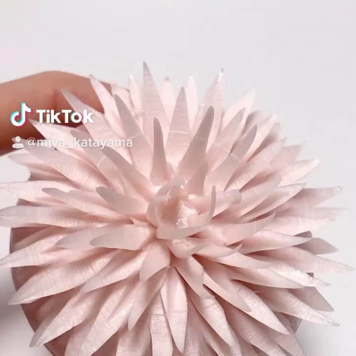 片山美耶のインスタグラム