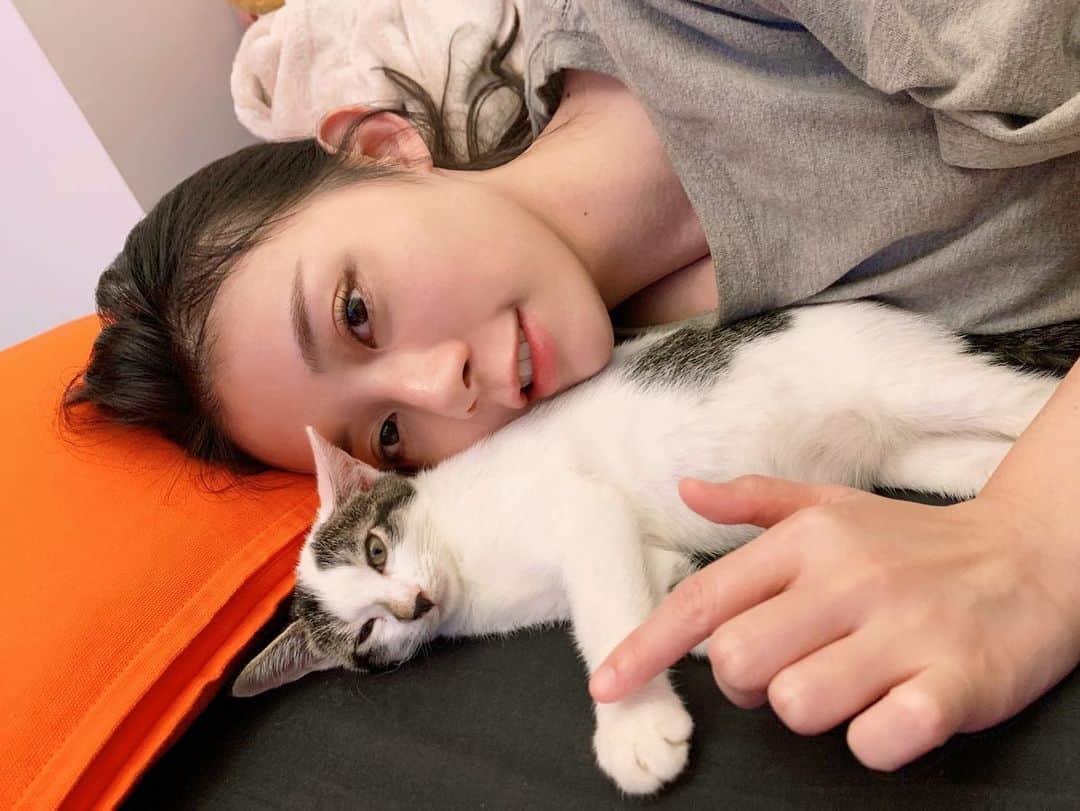 張香香のインスタグラム：「最近驚覺麥麥真滴長大了 變得好大隻！快跟帕帕差不多長度了！ 翻到以前和麥麥的合照覺得好小哦😳 #第二張麥的臉感覺不屑🤣 #麥麥🐱❤️」