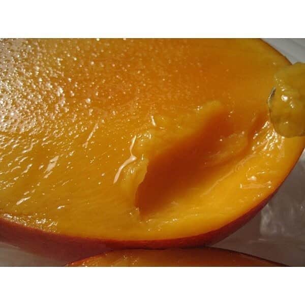 脇田唯さんのインスタグラム写真 - (脇田唯Instagram)「mango  ねぇ。。。 美味しそうじゃない？ これ、美味しそうじゃない？  めっちゃ、狙ってる（笑）  えー、買ってみようかな。 実家に贈りつつ、 自分も食べたい（笑） (๑>؂<๑)۶  マンゴー。 好きなんだよね。  わー、お取り寄せしてみようかな。YUITUBEで食べてみようかな。  沖縄行きたい←  https://store.shopping.yahoo.co.jp/mango-2gou/  #マンゴー #お取り寄せグルメ  #果物 #おいしそう  #宮古島 #沖縄 #おうち時間」5月30日 23時58分 - post_yui