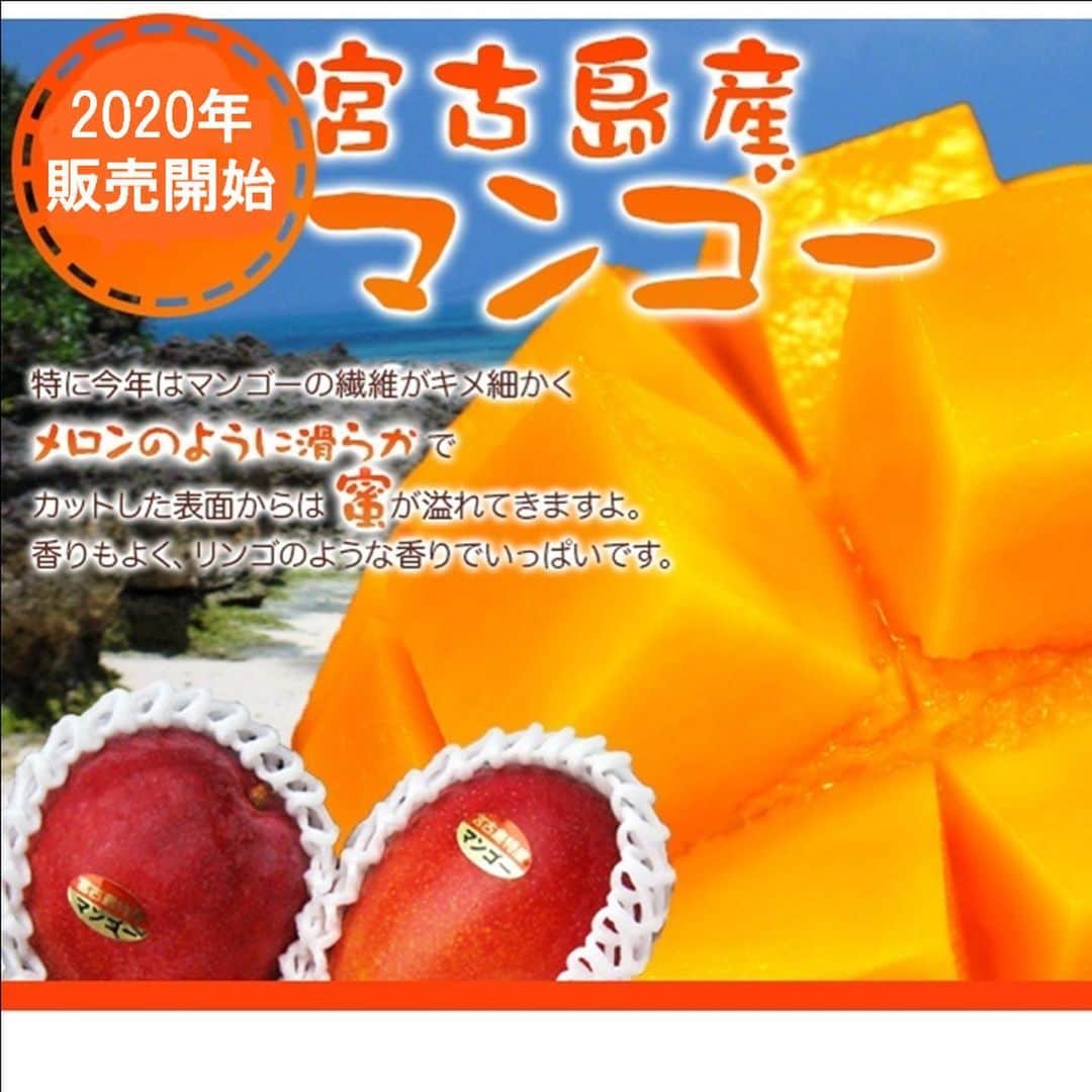 脇田唯さんのインスタグラム写真 - (脇田唯Instagram)「mango  ねぇ。。。 美味しそうじゃない？ これ、美味しそうじゃない？  めっちゃ、狙ってる（笑）  えー、買ってみようかな。 実家に贈りつつ、 自分も食べたい（笑） (๑>؂<๑)۶  マンゴー。 好きなんだよね。  わー、お取り寄せしてみようかな。YUITUBEで食べてみようかな。  沖縄行きたい←  https://store.shopping.yahoo.co.jp/mango-2gou/  #マンゴー #お取り寄せグルメ  #果物 #おいしそう  #宮古島 #沖縄 #おうち時間」5月30日 23時58分 - post_yui
