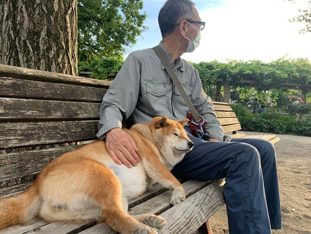 坂本美雨さんのインスタグラム写真 - (坂本美雨Instagram)「公園で思わず話しかけた。 チロとおじさま。 寄り添って12年。」5月31日 0時13分 - miu_sakamoto