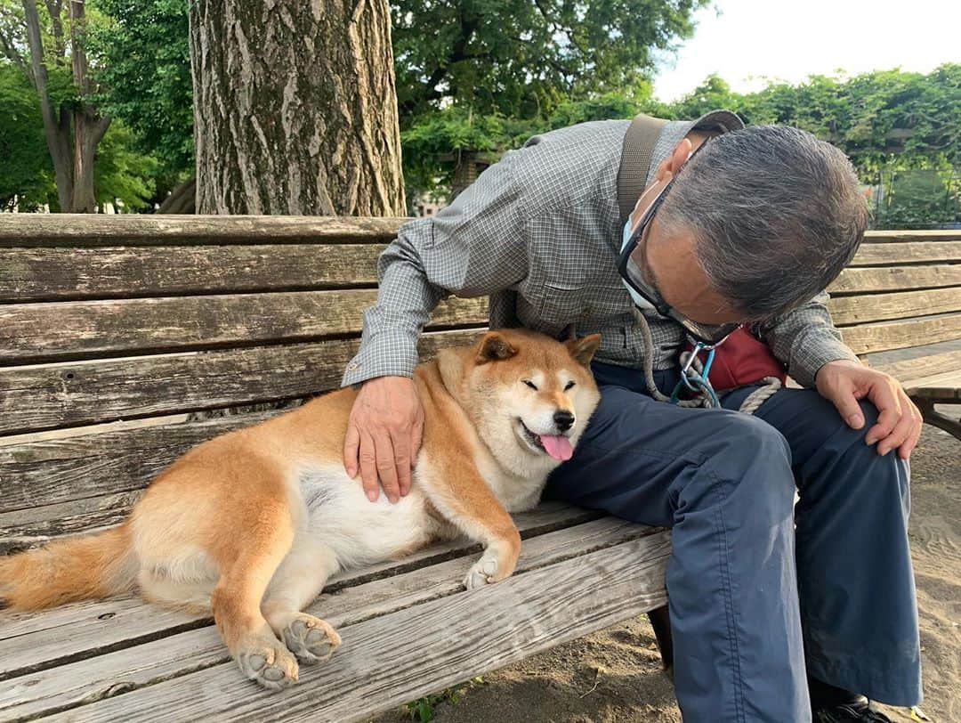 坂本美雨さんのインスタグラム写真 - (坂本美雨Instagram)「公園で思わず話しかけた。 チロとおじさま。 寄り添って12年。」5月31日 0時13分 - miu_sakamoto