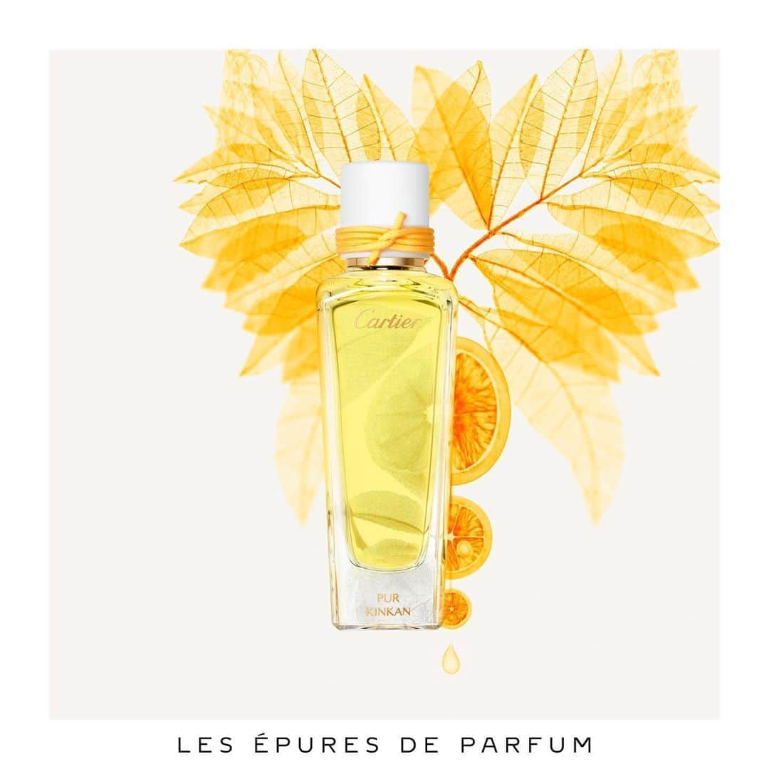 カルティエさんのインスタグラム写真 - (カルティエInstagram)「Pur Kinkan from Les Epures de Parfum collection created by Mathilde Laurent: the purest form of citrus. #LesEpuresDeParfum #CartierFragrances」5月31日 0時45分 - cartier