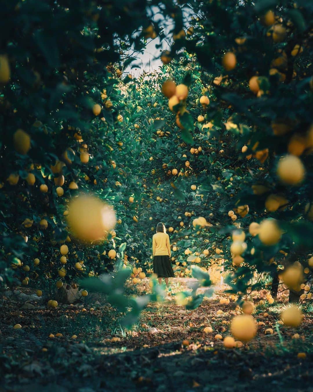 Simone Bramanteのインスタグラム：「{ Forever 🍋 } • In this 2020 I’ve rediscovered smells that I haven't felt for years - the scent of the river, the smell of the wind and many others to which I was no longer used to where I live, in such a populated area. But the scent that I continue to love deeply is that of citrus fruits, like that morning in a lemon grove, here in the photo.  I know I haven't posted here for many weeks, I was busy living new experiences, but in the meantime I saw that my work here on IG today reaches over 1 Million accounts!  Who follow me for real know that I have never been obsessed by social media but reaching such a bold number is a satisfaction. THANKS FOR YOUR SUPPORT. 💪🏿♥️」