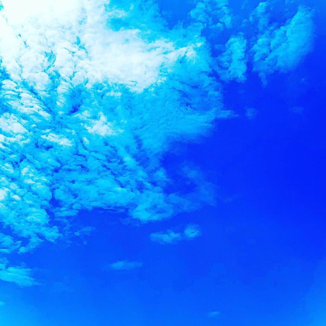 松井礼明のインスタグラム：「. 久々に空を見上げてみたら…。大好きな青。 この空は世界中繋がってるんですよね(^^) #空 #青空 #散歩 #見上げてみれば #福岡 #bluesky #気持ちいい空  #めんたいワイド #アナウンサー #コロナに負けないよ」