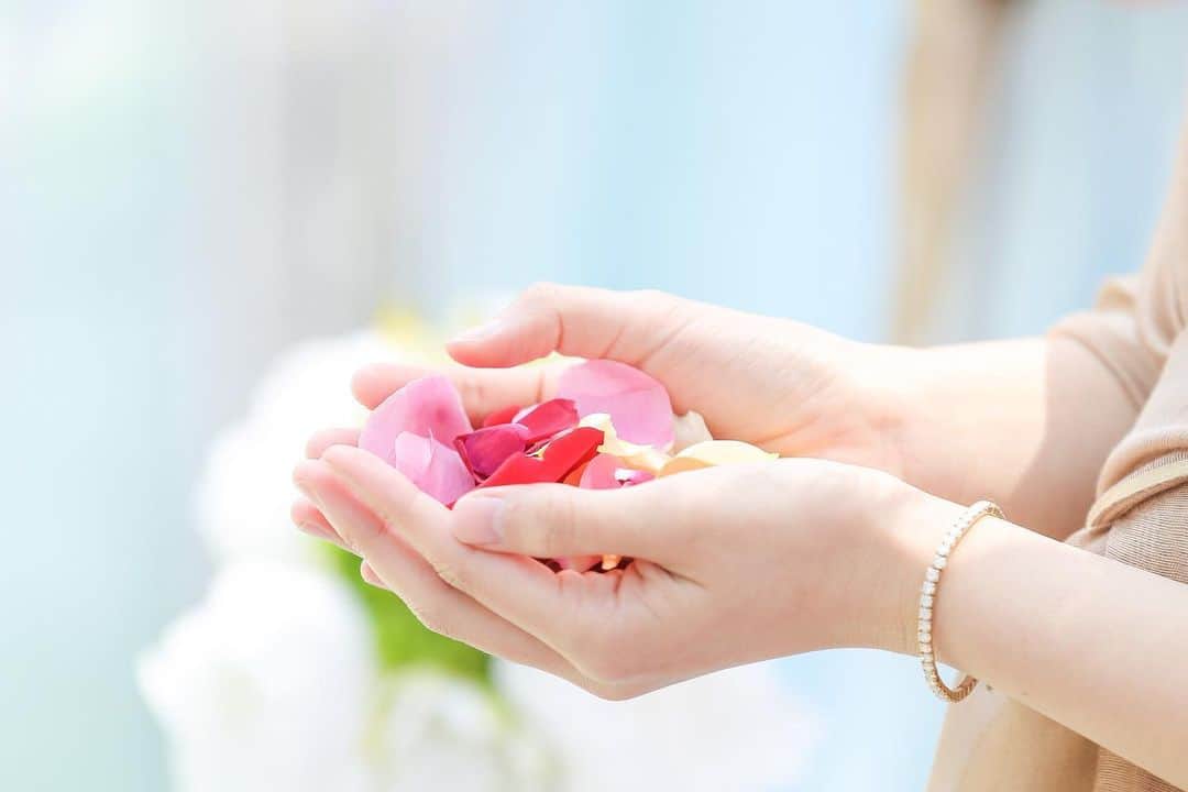 指帆亭のグルメインスタ