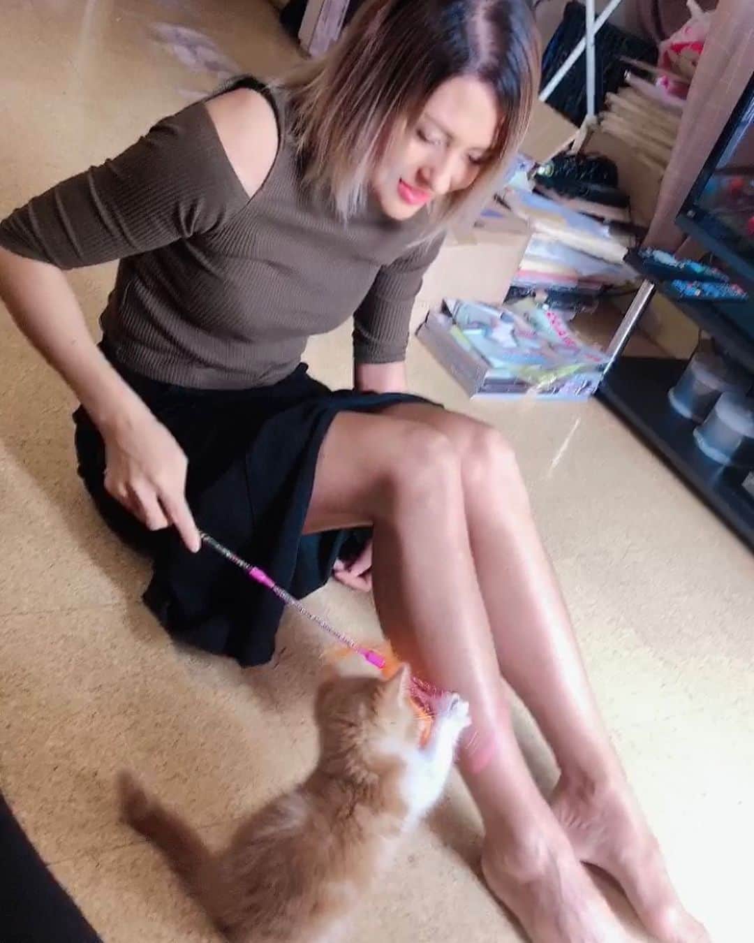 朱里さんのインスタグラム写真 - (朱里Instagram)「木村・ローソン・からあげ　クン  かわいすぎる🥺 #cat #cute #beautiful」5月31日 14時57分 - syuri_official