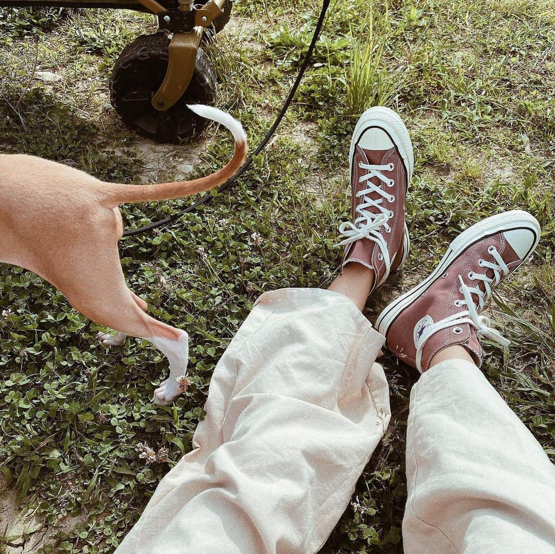 徳永 美乃里さんのインスタグラム写真 - (徳永 美乃里Instagram)「. new kicks。 買ってからお出かけできなくて 履けなかったけどやっと🚶‍♂️💕 かなさんが教えてくれて お揃いで買ったチャックテイラー👟❤️ 色がきゃーです😌❤️ 早くかなさんと一緒に履いて カフェいきたーい❤️ てかはやくかなさんにあいたーい😭🙌🏻」5月31日 15時29分 - tokunaga_minori