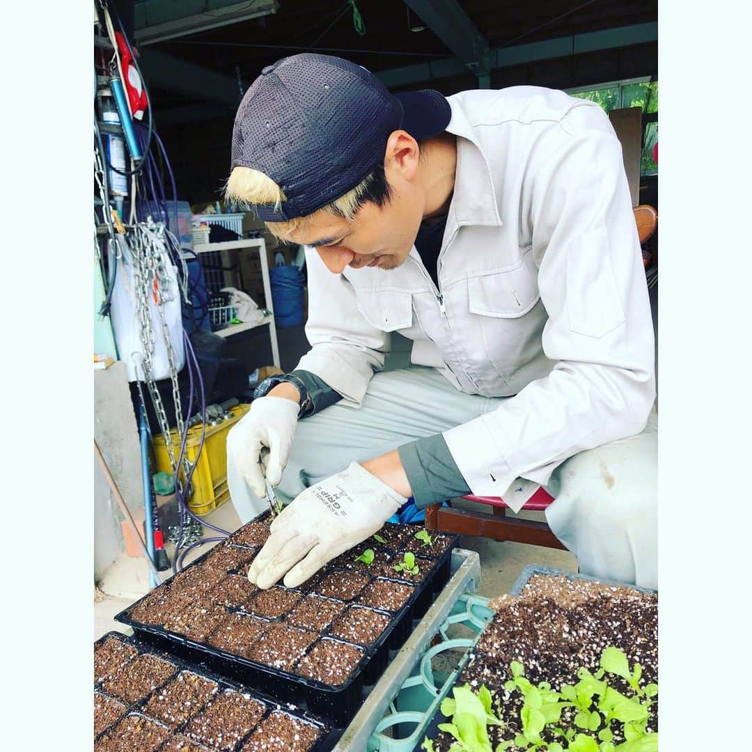 北野貴之さんのインスタグラム写真 - (北野貴之Instagram)「種蒔きから始めて、芽が出てきた。 広い部屋に植え替え。 色々な種を植えて、沢山芽が出てきている。 もはや家庭菜園の量ではない。  #ヒナちゃん#10日目#最大の天敵は蛇」5月31日 7時06分 - takashi_kitano