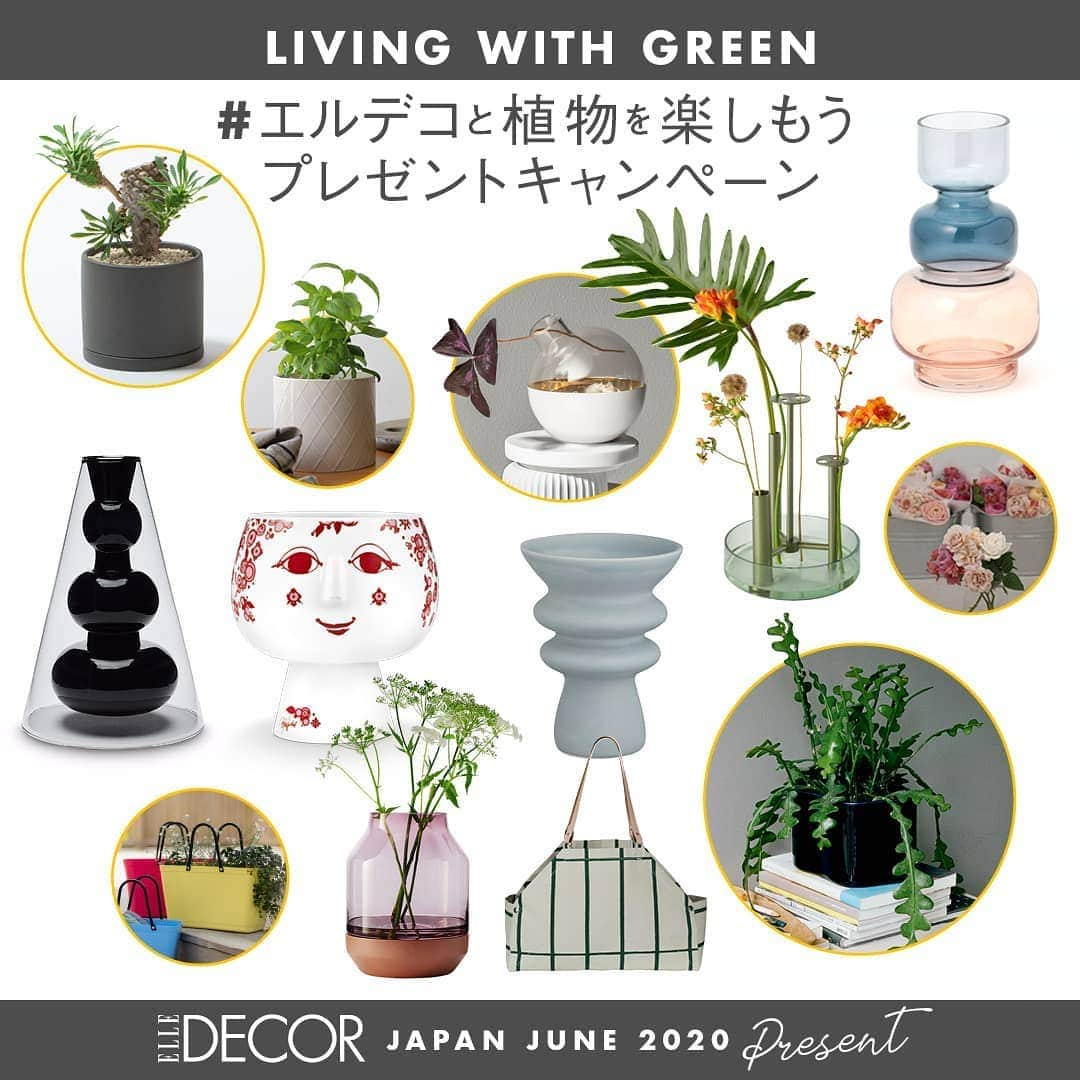 ELLE DECOR JAPANのインスタグラム