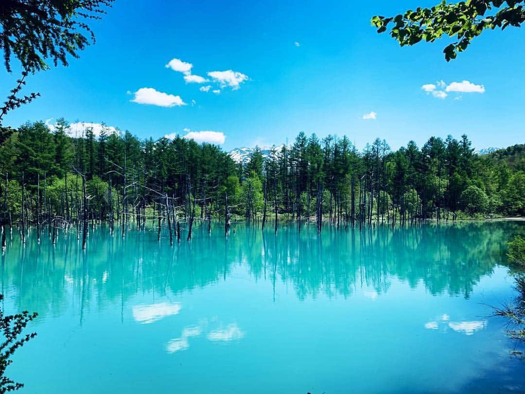上木彩矢さんのインスタグラム写真 - (上木彩矢Instagram)「北海道美瑛にある『青い池』 とっても綺麗でした☺️ さて今日は5月最後の日。 本日の配信は19時からスタートになりますので是非5月の締めくくりを一緒に楽しい時間にしましょうね❣️ #北海道美瑛 #青い池 #パワースポット #リフレッシュ #ポコチャ #19時から #5月最後の日」5月31日 7時49分 - kamikiaya30