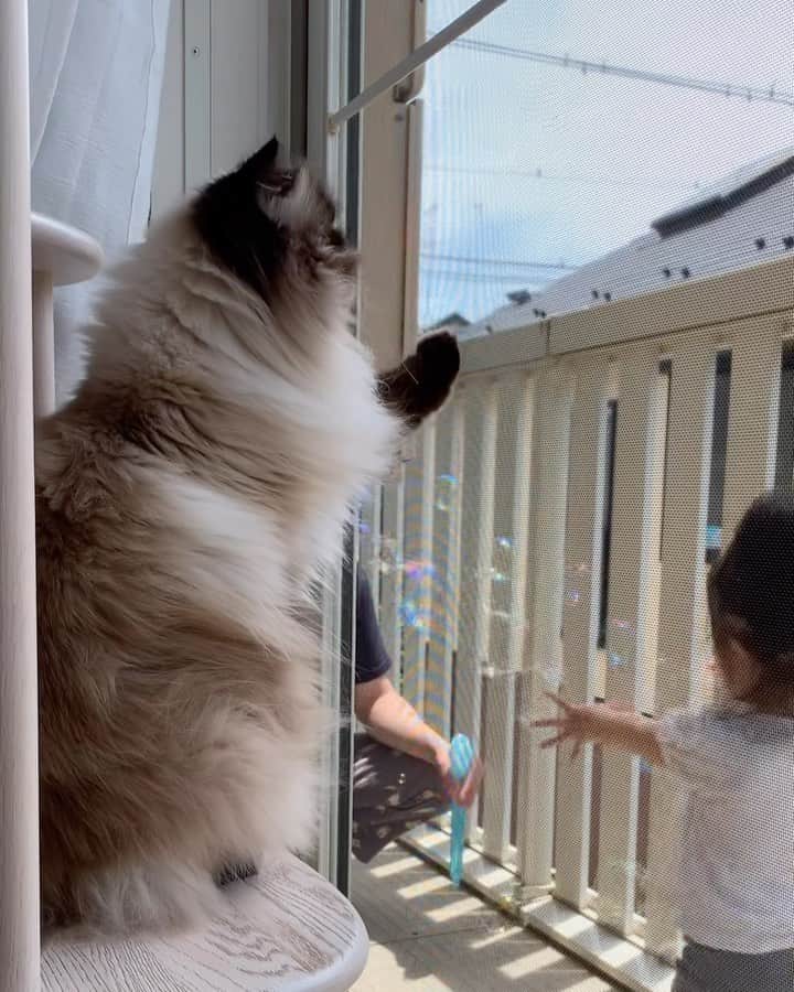 plumeのインスタグラム