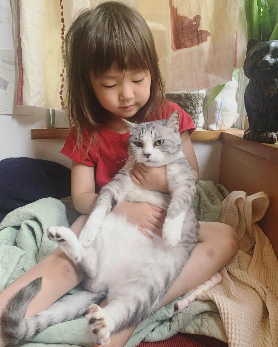 のインスタグラム：「今日の姉妹 #サバ美となまこちゃん #今日のなまこちゃん #サバ美  #4歳10ヶ月」